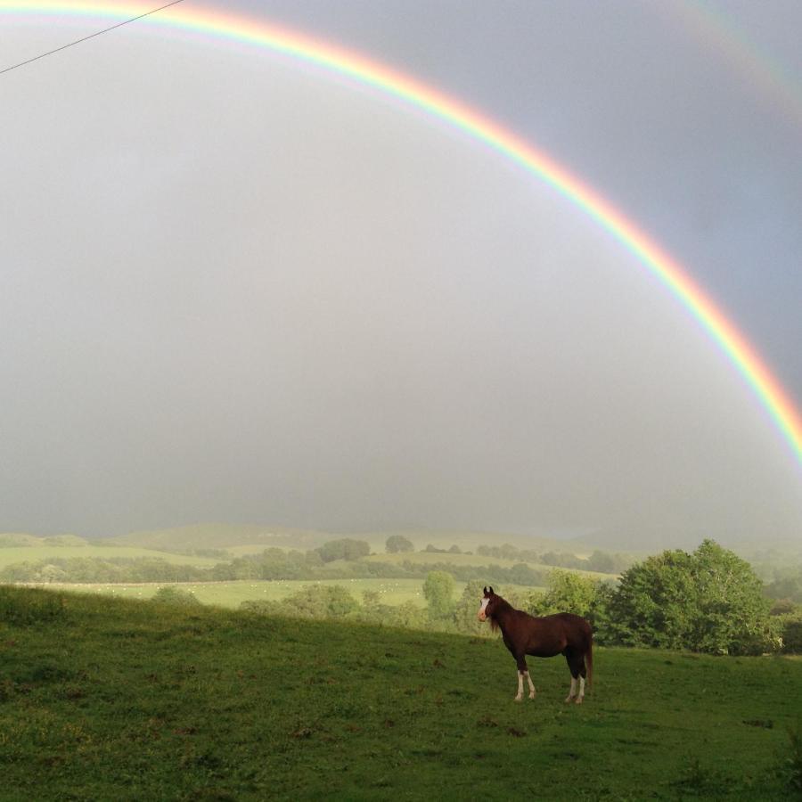 Bollam Cottage Bed And Breakfast Kirkby Stephen Εξωτερικό φωτογραφία